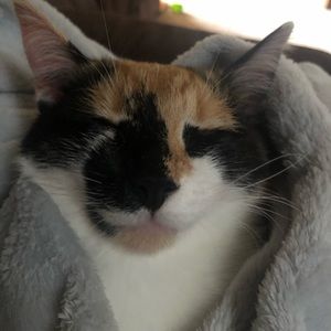 Meet your Posher, Abigail